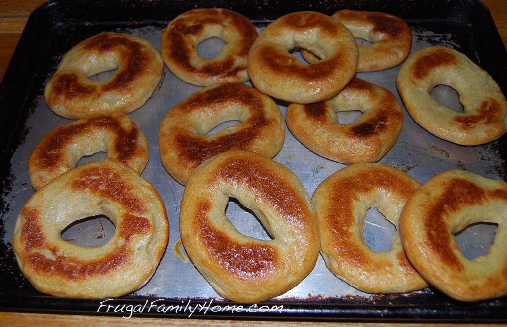 Bagel Recipe