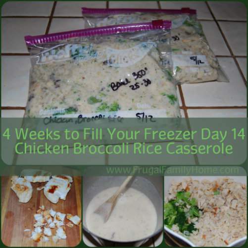 Freezer Friendly Chicken Casserole