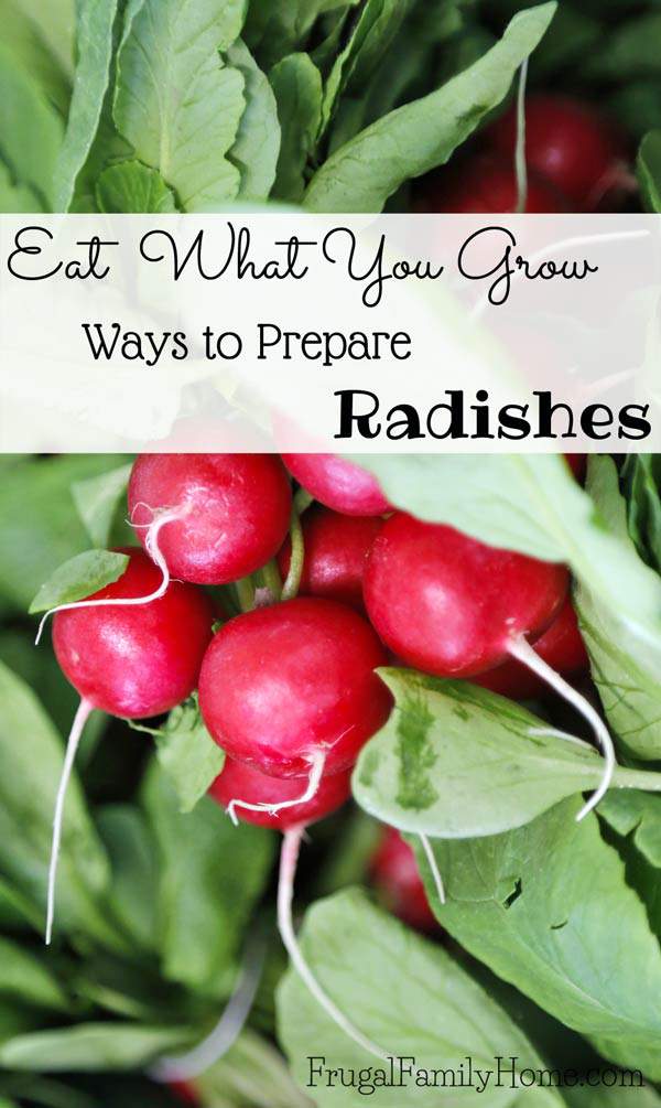 Radishes, How to Prepare What you Grow