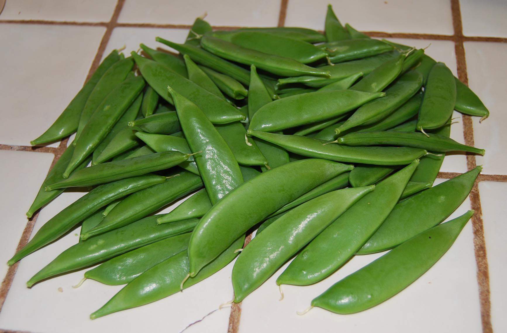 sugar-snap-peas-how-to-prepare-what-you-grow