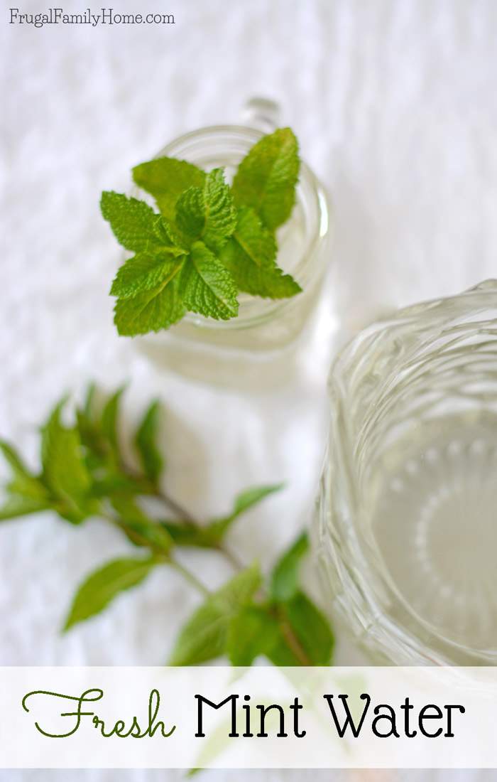How to make mint water