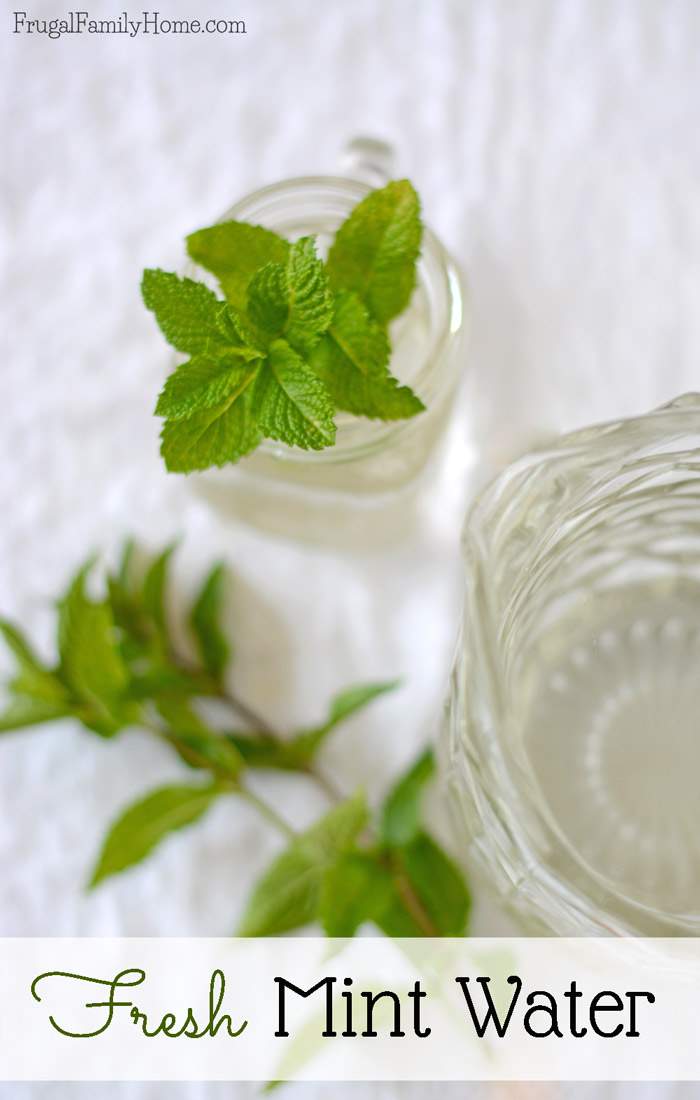 Fresh Mint Water