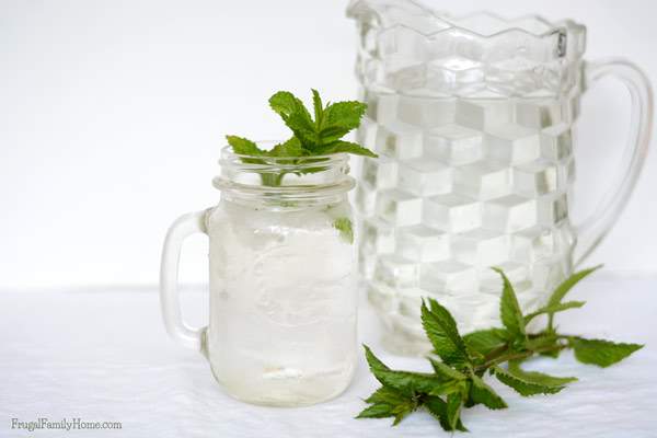 In the summer it’s easy to grab a sugary drink to quench your thirst. Leave those empty calories behind and try this yummy fresh mint recipe for fresh mint water instead. It’s not only delicious but so easy to make. With just two ingredients needed. This summertime drink much better than just plain water.