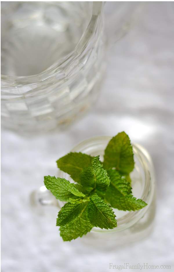 In the summer it’s easy to grab a sugary drink to quench your thirst. Leave those empty calories behind and try this yummy fresh mint recipe for fresh mint water instead. It’s not only delicious but so easy to make. With just two ingredients needed. This summertime drink much better than just plain water.