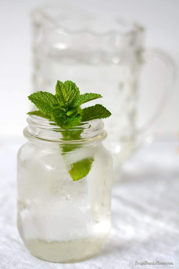 In the summer it’s easy to grab a sugary drink to quench your thirst. Leave those empty calories behind and try this yummy fresh mint recipe for fresh mint water instead. It’s not only delicious but so easy to make. With just two ingredients needed. This summertime drink much better than just plain water.