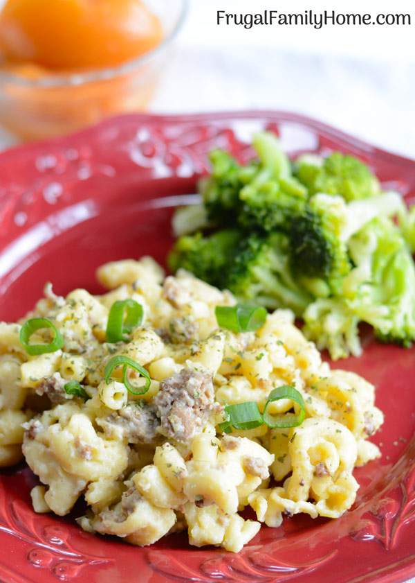 Homemade Cheeseburger Skillet Dish ~ This is one comfort food that I loved while growing up. It’s an easy one pot dinner that is easy to make and my whole family loves it. Plus it can be made dairy free. Come get the recipe to give a try.