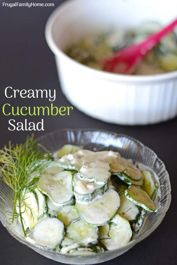 The Best Creamy Cucumber and Dill Salad