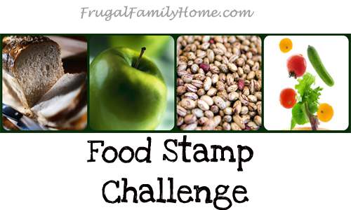 Food Stamp Challenge Day 1