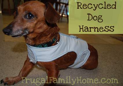 Dog harness Banner