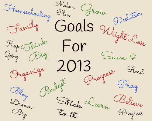 My Goals for 2013