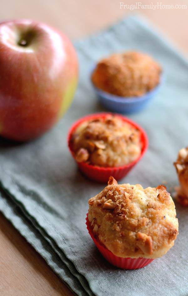 I know in the fall, when there’s newly picked apples to be had, I love to make apple recipes. There is just something about fall and apples. This mini apple muffin recipe is really delicious. I added a nut crumble topping to them to add a little crunch and extra flavor. This recipe can be made dairy and egg free too.