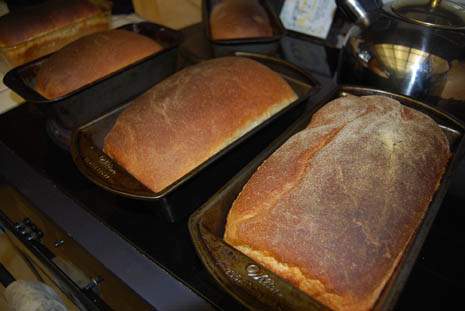 Bread for the Freezer