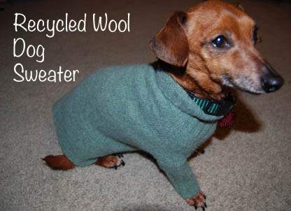 Recycled Dog Sweater Banner
