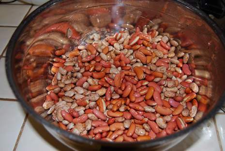 Soaked Pinto Beans