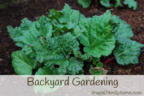 Backyard Gardening Banner