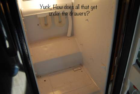 Bottom of Refrigerator