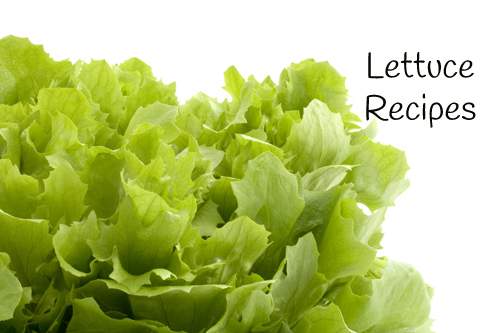 Lettuce leaves with white space