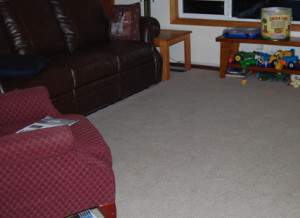 Living Room Carpet Cleaned