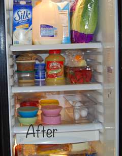 Upper Shelves Refrigerator After
