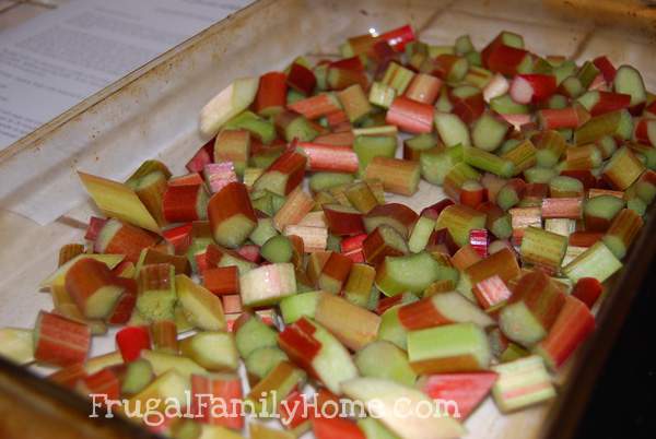 Cut Up Rhubarb