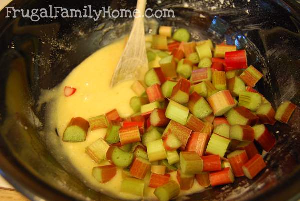 Rhubarb Added to Batter