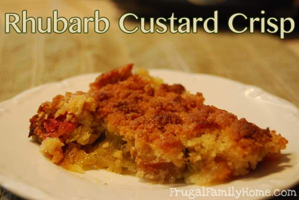 Rhubarb Crisp Banner