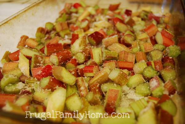 Rhubarb Ready For Oven