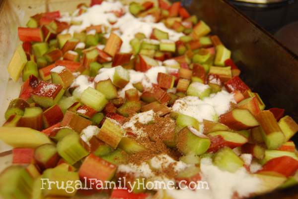 Rhubarb With Sugar and Nutmeg