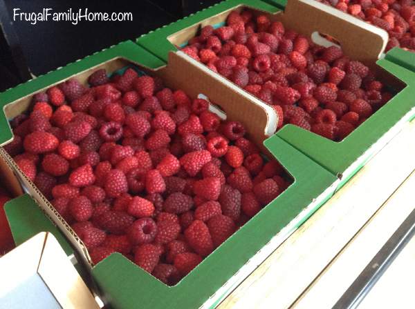 Already Picked Raspberries