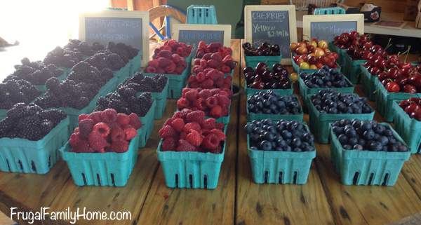 Berries already picked