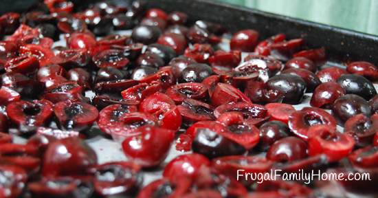 Cut Cherries Ready for Freezer