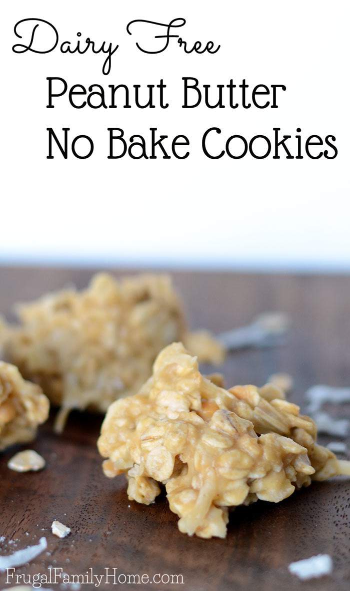 Easy to make cookie recipe for dairy free peanut butter no bake cookies.