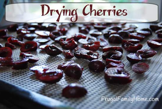 Drying Cherries, Dehydrator, Oven Method or Solar Method