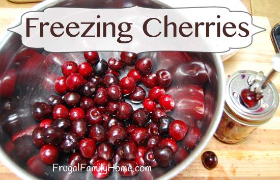 Freezing Cherries Banner