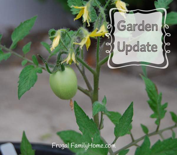 Garden Update Banner