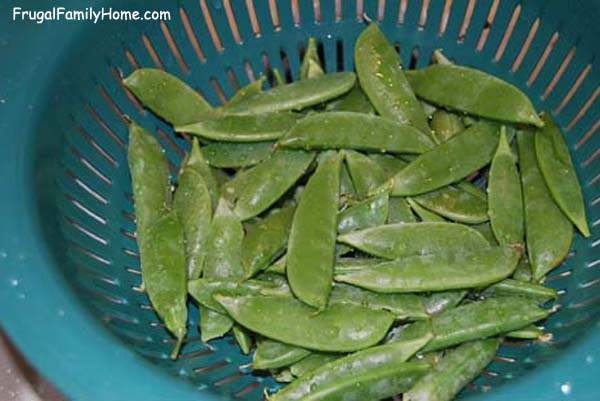 washed peas