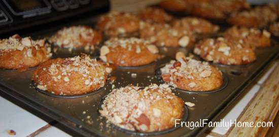 Muffins Cooling in the pan