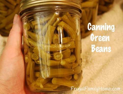 Canning Green Beans Banner