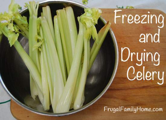 Freezing and Drying Celery