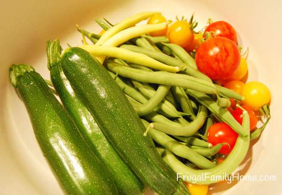 Garden Harvest for August