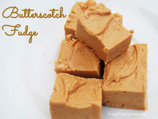 Two Ingredient Butterscotch Fudge