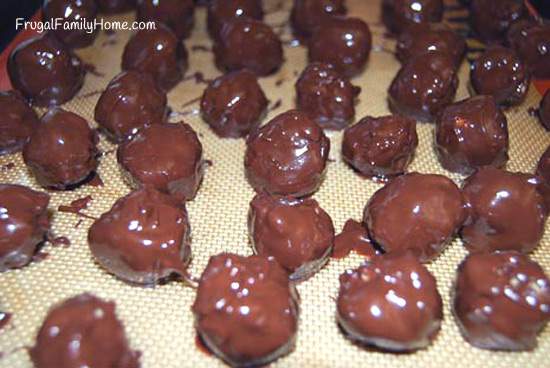 Chocolate covered Peanut Butter Balls