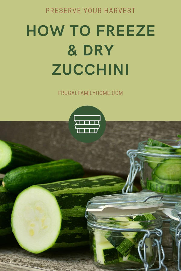how to dry and freeze zucchini