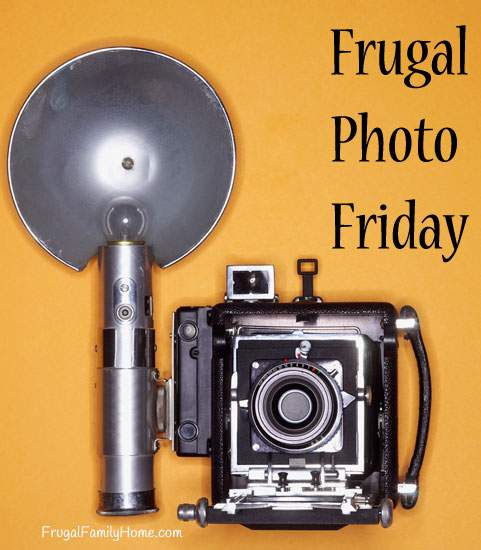 Frugal Photo Friday