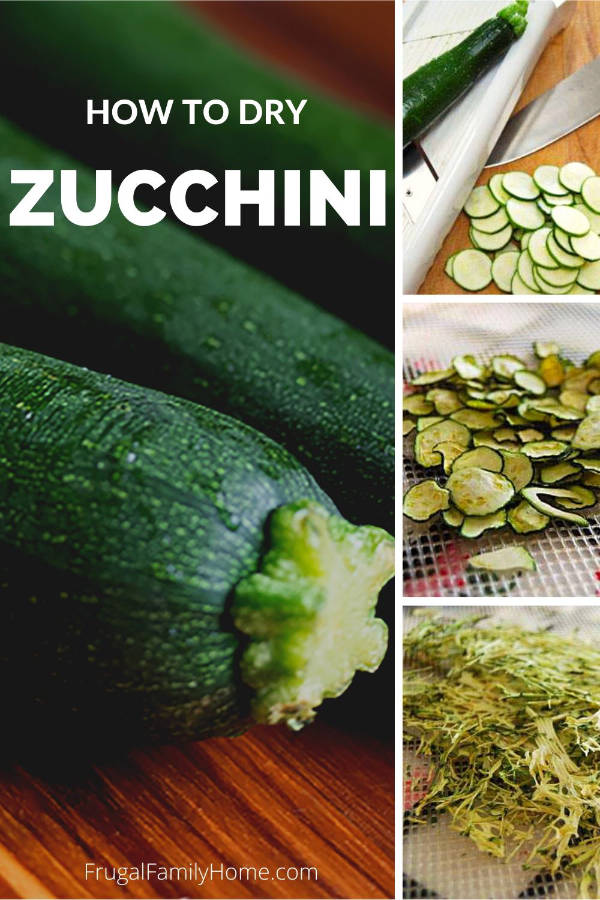 how to dry zucchini instructions