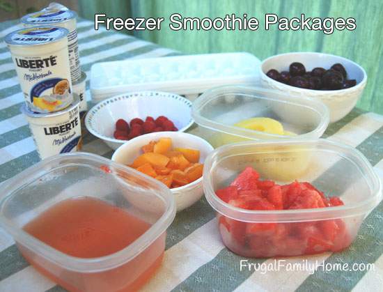 Freezer Smoothie Containers