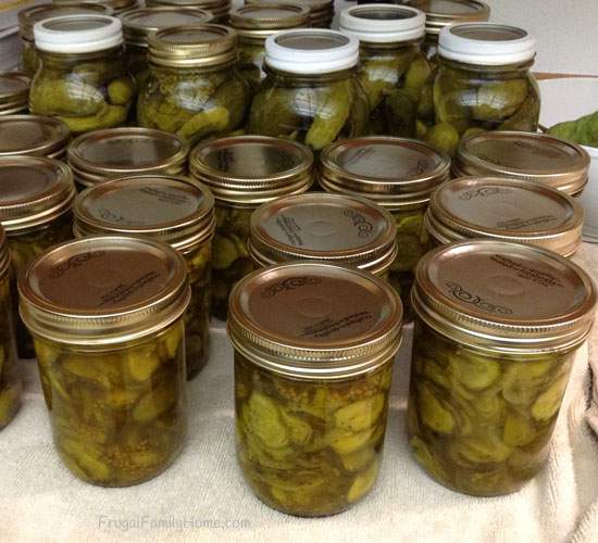 Dills and Bread and Butter Pickles