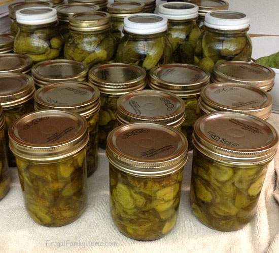 Canning Pickles And Why I Should Read More Carefully Frugal Family Home