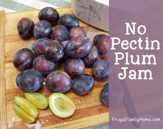 Plum Jam with no added pectin