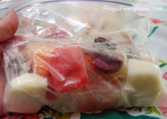 Smoothie Baggie